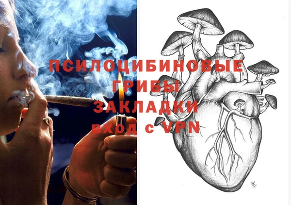 2c-b Вязьма